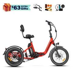  CITYTRI E-310 Standard Version