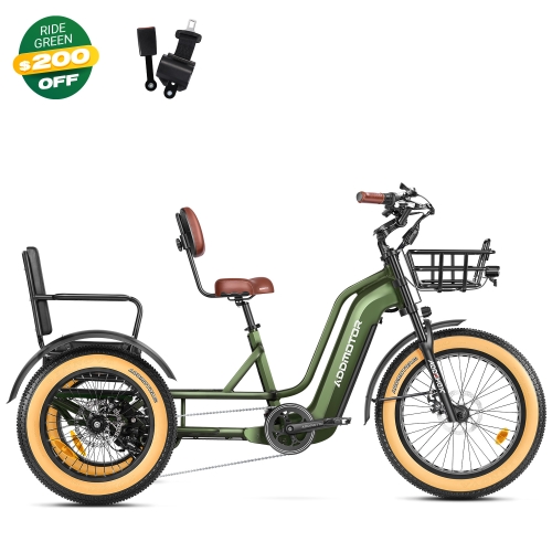 Greattan L Passenger eTrike