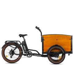 E-325 Electric Cargo Reverse Trike