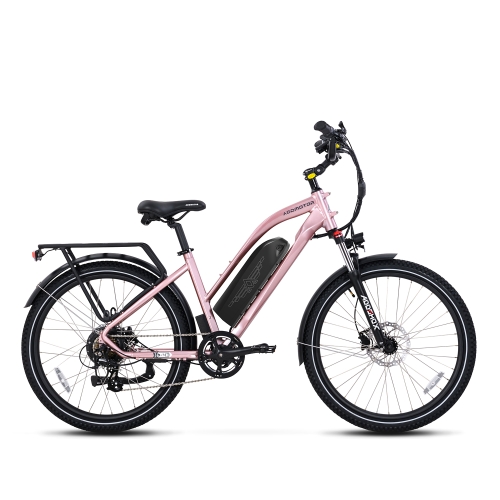 Citypro E-43 eBike